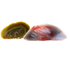 2 Agate Nodule, polished halves Agate Creek Queensland Australia,  (EA10188)