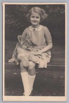Mädchen mit kleinem Tiger auf Schoß im Leipziger Zoo 1953 - Altes Foto 1950er