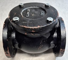 FNW 3 in. Flat Faced Flanged Cast Iron Swing Check Valve 125S 200 WOG