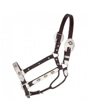 Tough 1 Halter Royal King Gold Black Silver Horse Dark Oil 18-903H