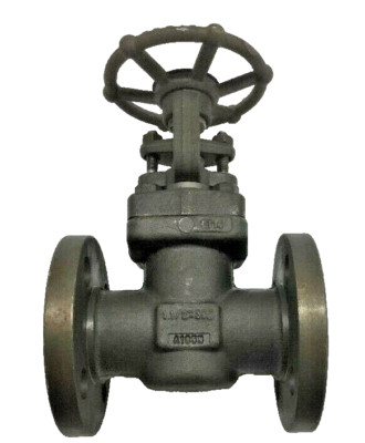 DSI 2131A8-18 Forged Steel Gate Valve 1-1/2'' Class 300 RF Flanged 775psi WOG