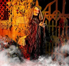 Haunted Hill Farm Animatronic Scary Witch Door Greeter with Touch Activated L...