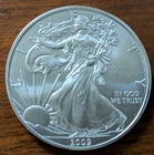 2009 AMERICAN SILVER EAGLE BULLION, .999 SILVER