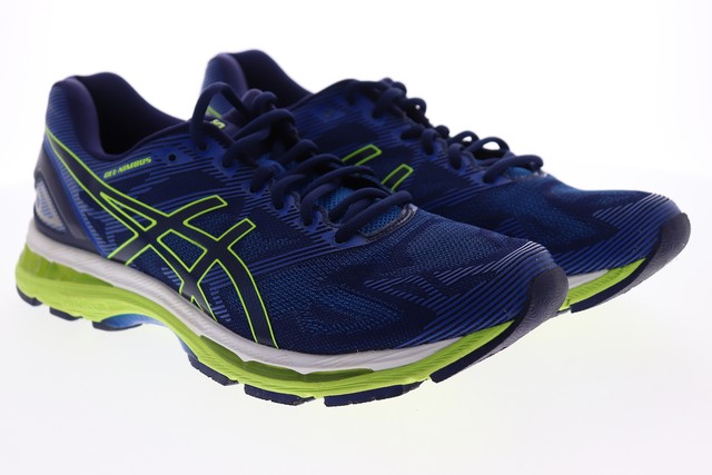 asics gel nimbus 19 t700n