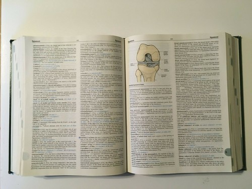 STEDMANS MEDICAL DICTIONARY 27TH EDITION Williams & Wilkins Illustrated in Color - Picture 8 of 8