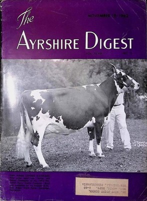 1962 Ayrshire Digest Magazine Dairy Cattle Breeding Oak Ridge Connie Kathleen