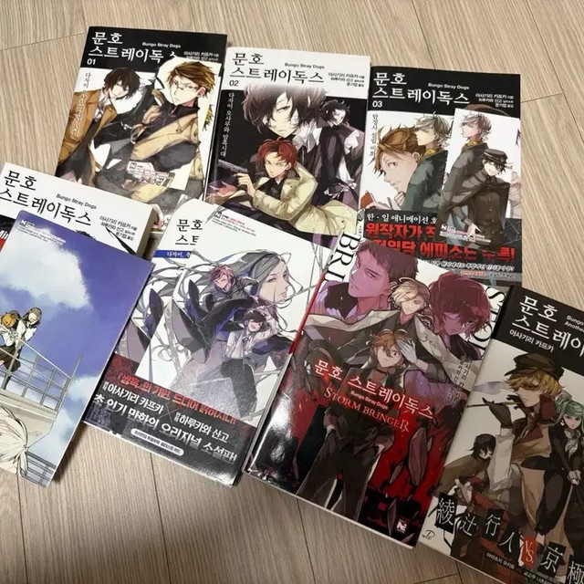 Bungou Stray Dogs Novel Set Multiple Copies Sale