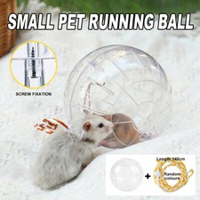 Running Ball Gerbil Plastic Hamster Exercise Mice Pet Rodent Jogging Ball Toy AU