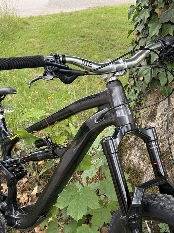 Canondale Lt2 29er Rockshox Zebs 170mm Rockshox Super Deluxe 155mm