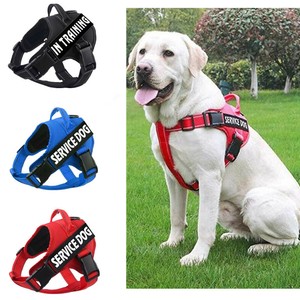 no pull service dog vest