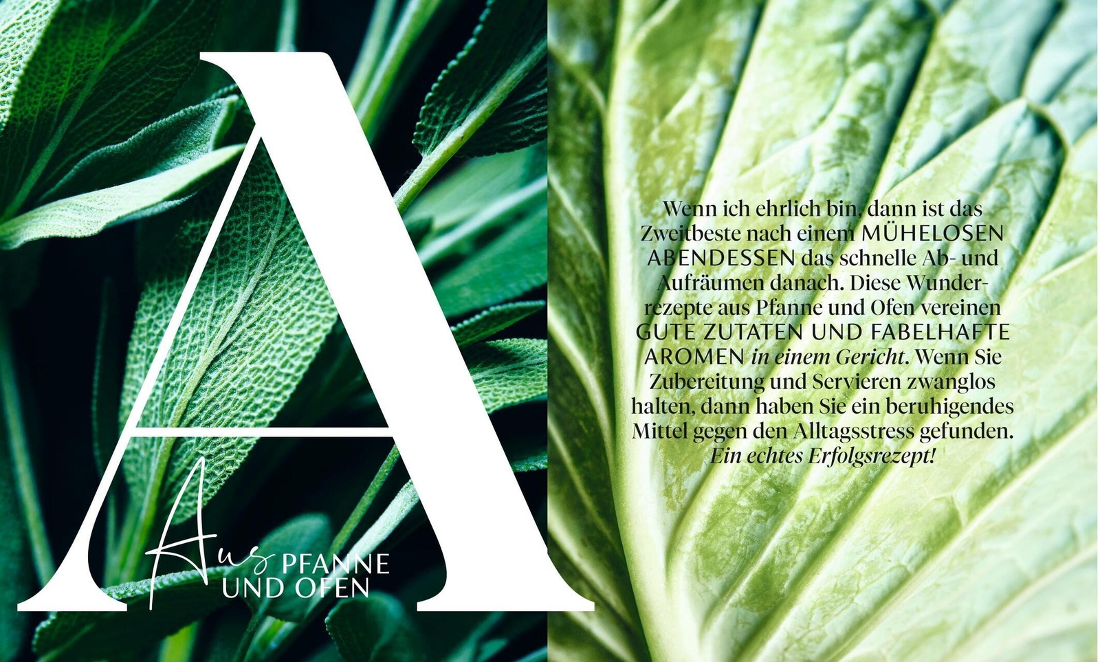 Thumbnail - Donna Hay Super Fresh