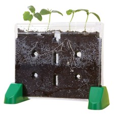 Educational Insights Sprout  Grow Window - See-Through Sprouts Growing Kit, ...