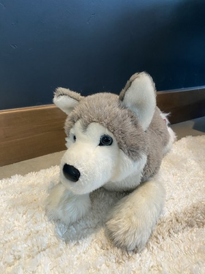 #ad Douglas Geno Husky Dog Plush Stuffed Animal 19quot; $30.00