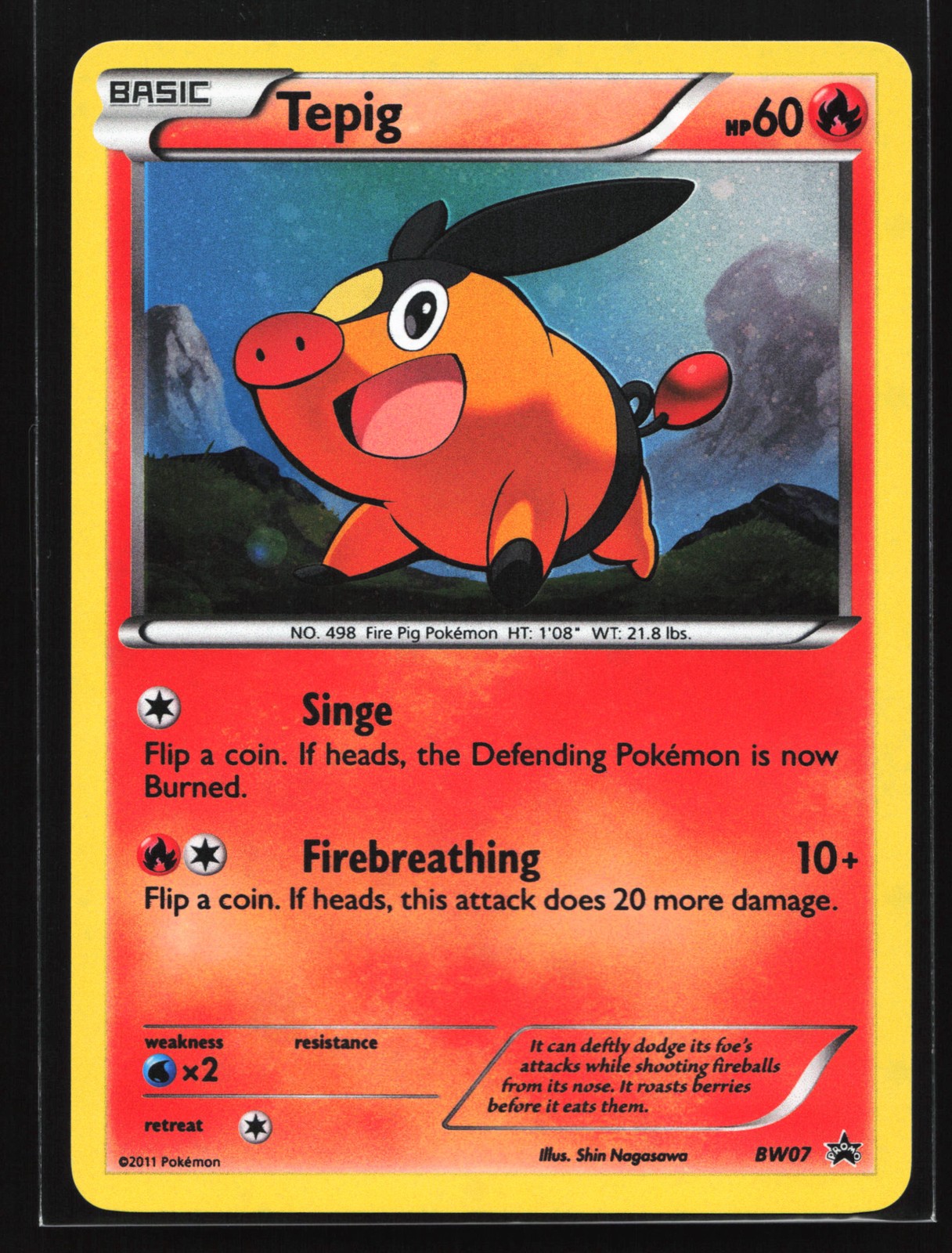 Tepig BW07 Black & White Black Star Promo Pokemon Card