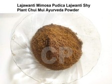 Lajwanti Powder Mimosa Pudica Powder Sennsitive Chui Mui Powder 250gm 8.8 OZ .
