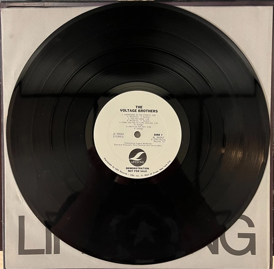 The Voltage Brothers Lifesong White Label Promo Vinyl Record LP! - Image 3 of 4