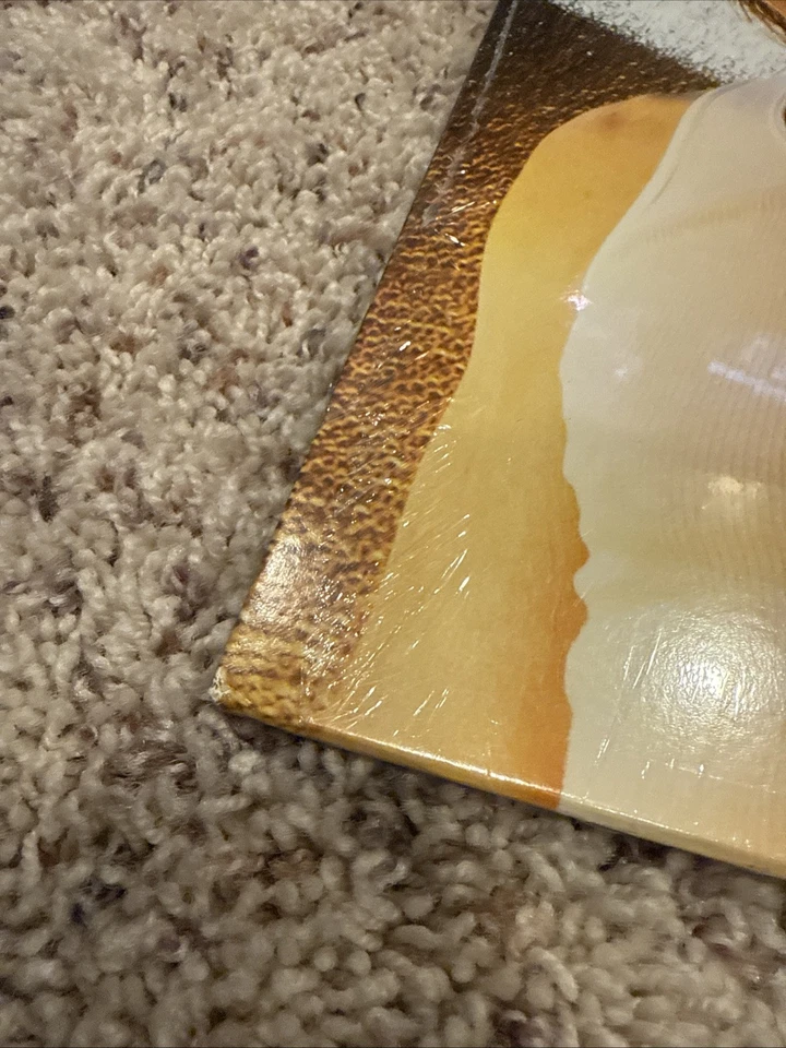 RICK SPRINGFIELD - JESSIE’S GIRL 40th ANNIVERSARY Vinyl LP Record NEW SEALED - Image 2 of 4