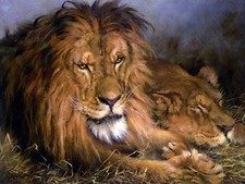 A Lion and a Lioness by G. Hungarian Tile Mural Kitchen Backsplash Ceramic 10x8