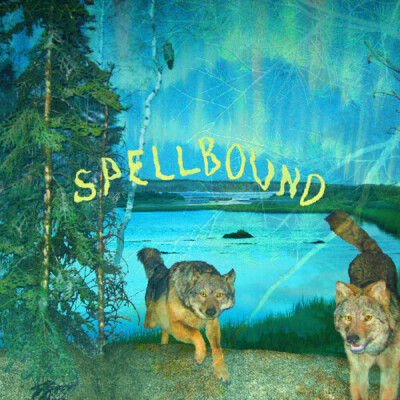 BOYSCOTT SPELLBOUND NEW CASSETTE