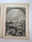 Harper’s Weekly June 3, 1876-Centennial-No Sup’l’mnt-Impeachment-Nast — photo 8