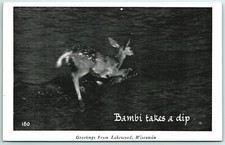 RPPC Bambi Deer Takes a Dip Lakewood Wisconsin WI 1948 Postcard J2
