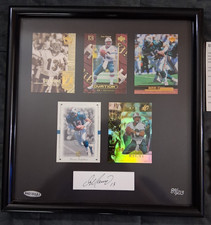 Miami Dolphins Collecting and Fan Guide 73