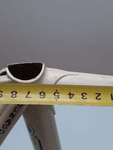 colnago master team Malvor-Colnago - Bild 24 von 24