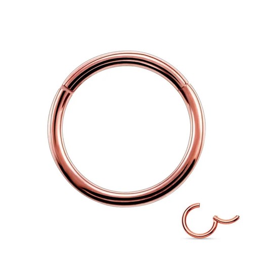 16G Surgical Steel Nose Ring Septum Clicker Hinge Segment Ear Helix Tragus Hoop - Picture 12 of 16