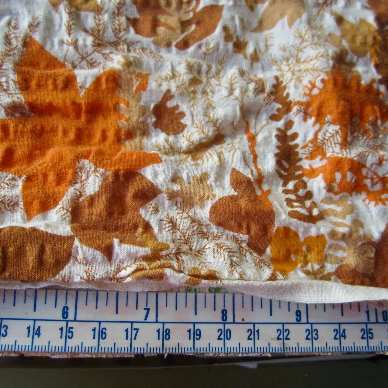 Picture 8 of 8