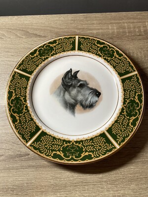 Englischer Fine Bone China Goldrand SCHNAUZER HUND 10'' Sammlerteller Aynsley