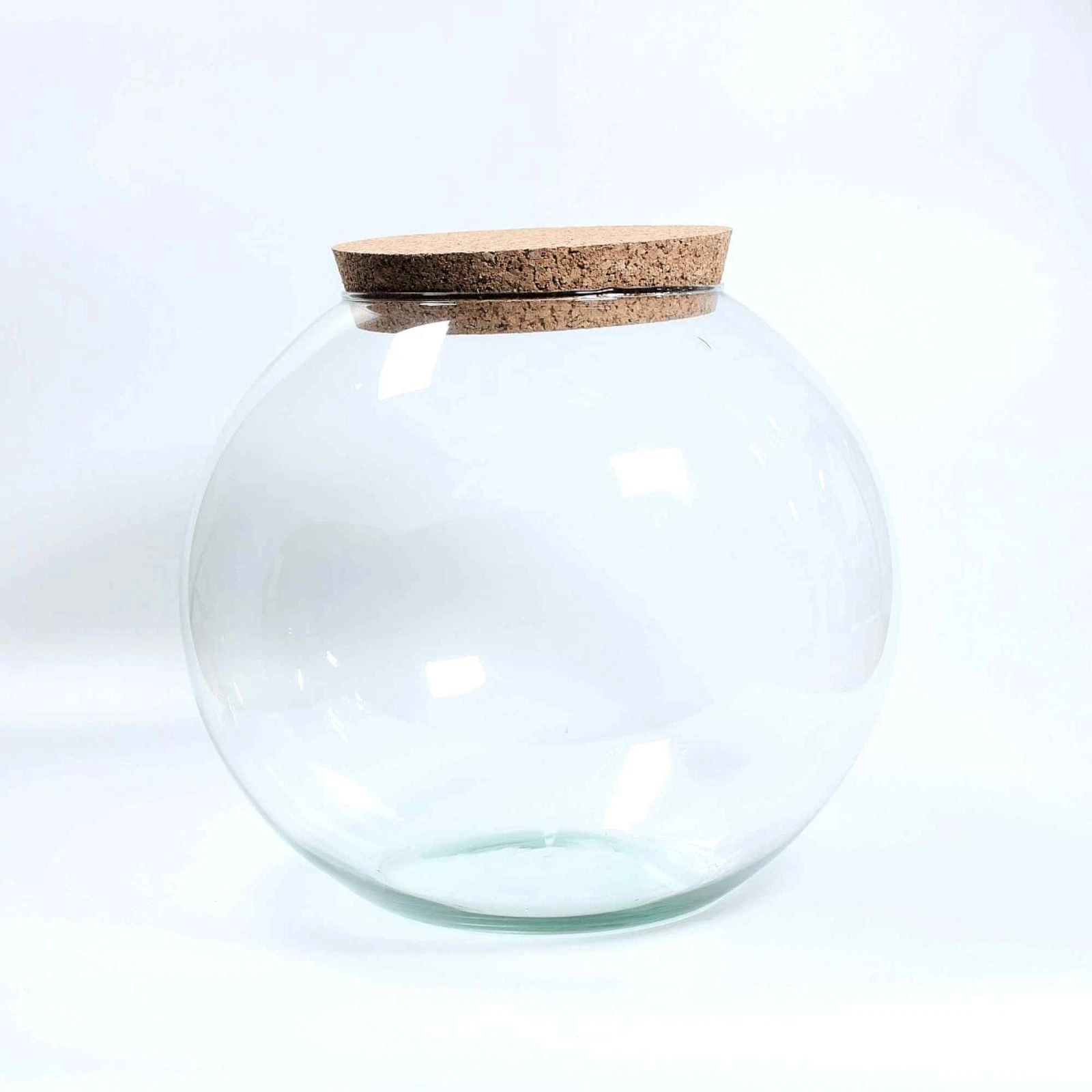 Large Globe Terrarium Glass Container 25cm Closed Terrariums Jar With Lid
Opens in a new window or t