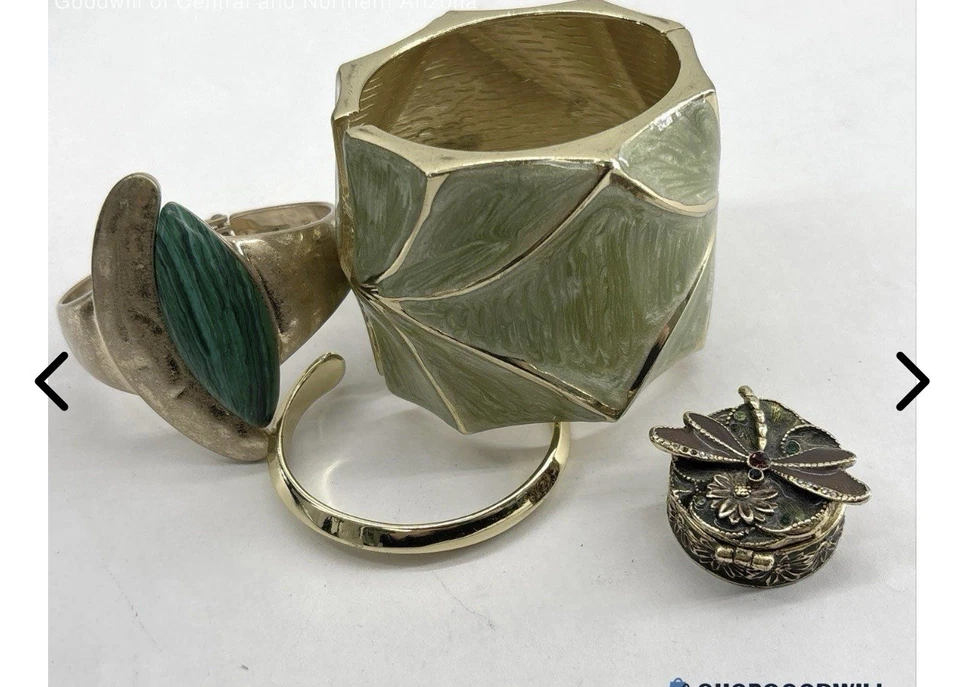 Chico’s J.Crew Robert Lee Morris Joyería Verde y Dorado/con Caja Baratija Libélula Foto 4 de 4