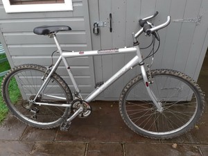 raleigh manta ray mountain bike
