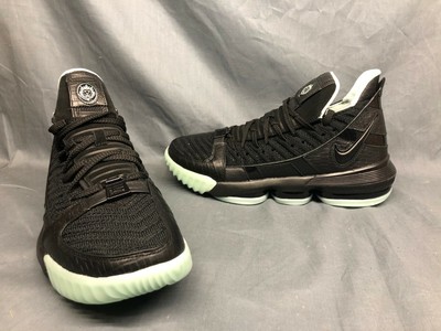 nike lebron xvi sb