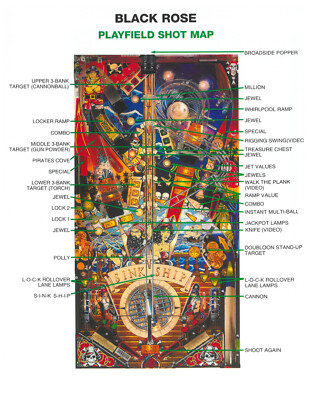 Black Rose Bally Pinball PLAYFIELD SHOT MAP & RULES SHEET / Mint Condition