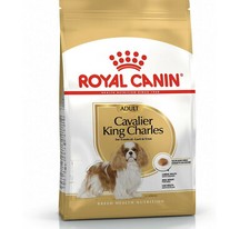 ROYAL CANIN DOG CAVALIER KING CHARLES BREED 1.5kg 7.5kg : Adult Food rc Dry Feed