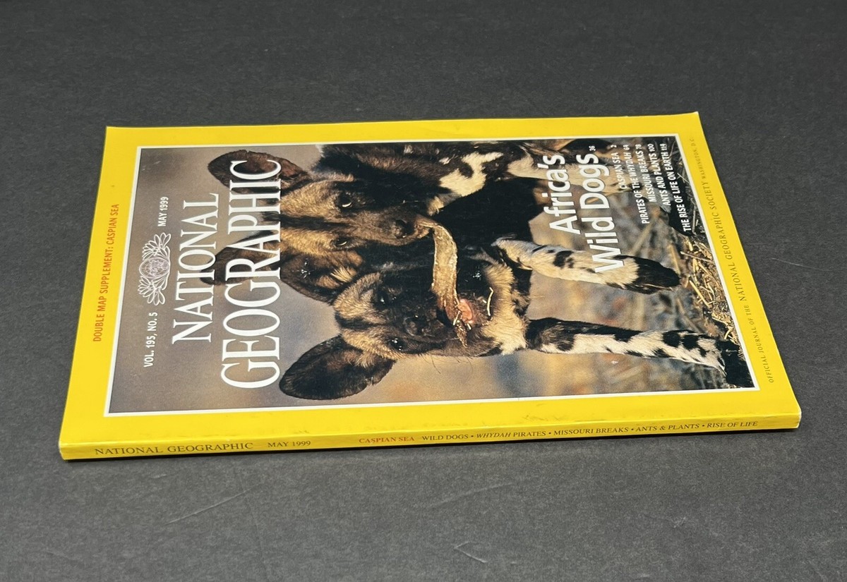 National Geographic Magazine May 1999 Africa's Wild Dogs Vol. 195