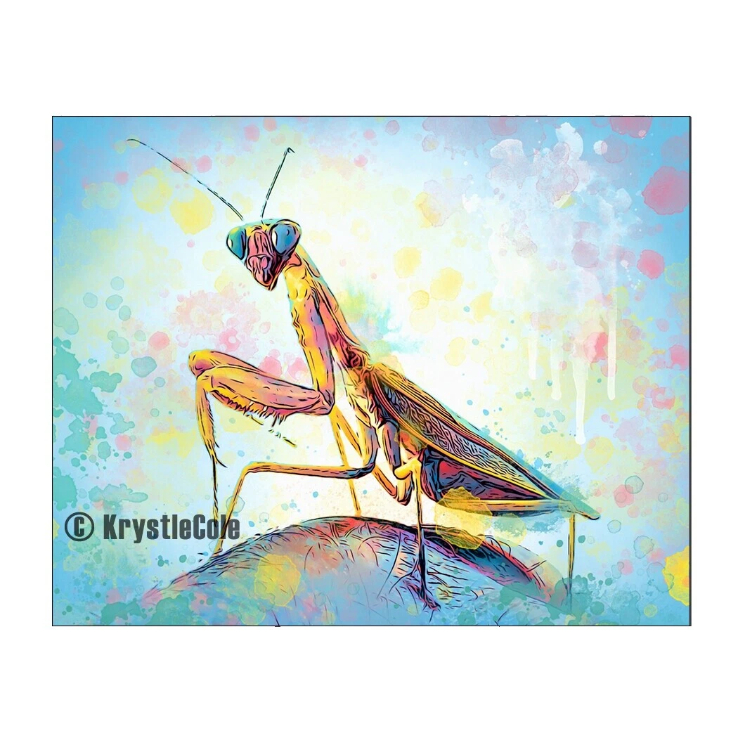 Los insectos arte abstracto