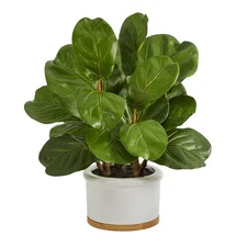 Nearly Natural 15-in Fiddle Leaf Artificial Tree in White Planter