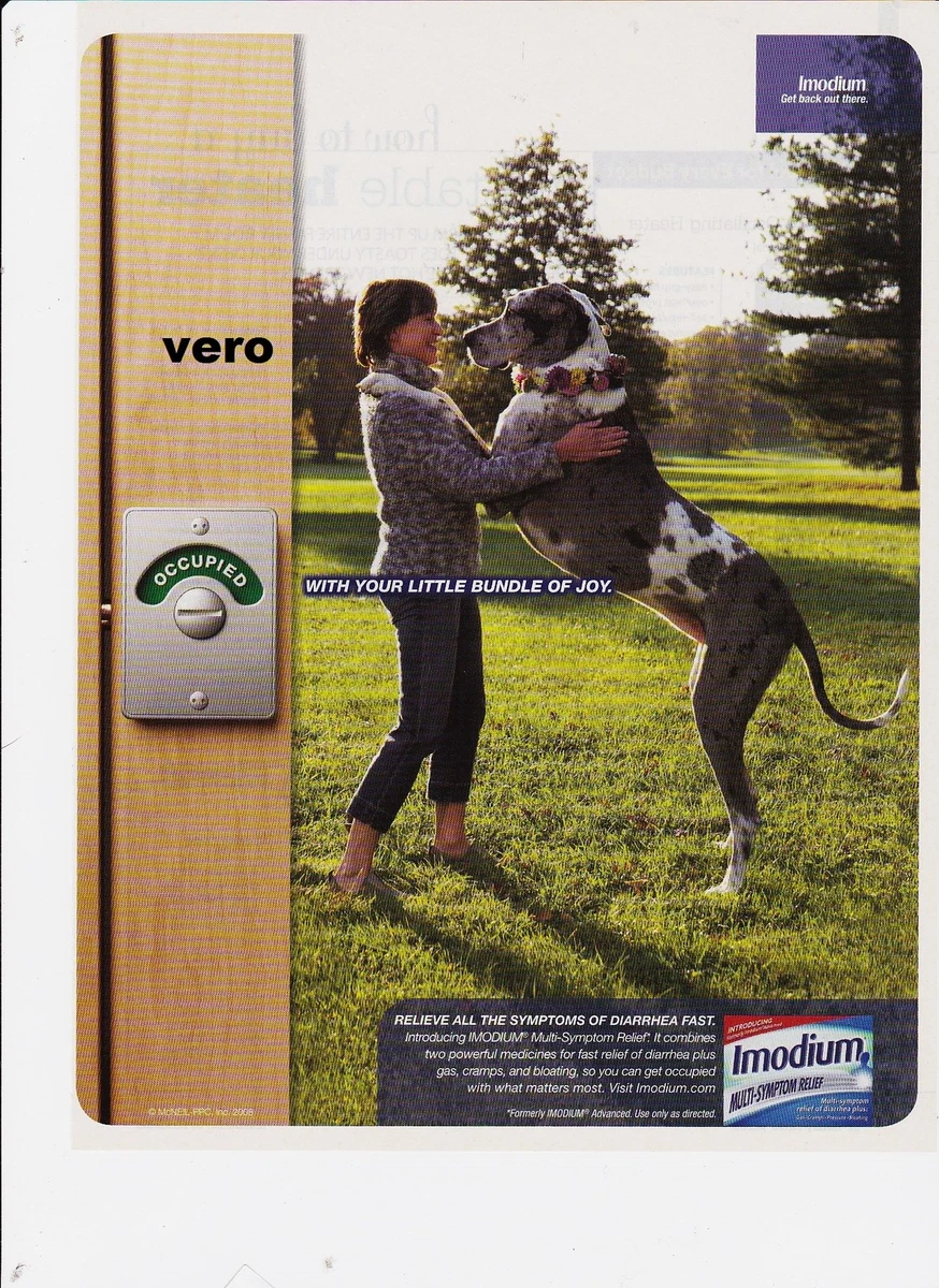 Can You Give Imodium To A Dog