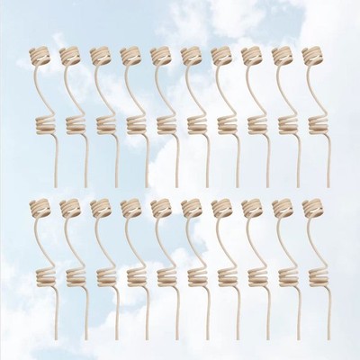  20 Pcs Diffuser Für Ätherische Öle ?therisches ?l Diffusor-sticks