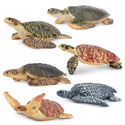 #ad Toymany Sea Turtle Animal Figurine Realistic Collectible Hand painted Toy Set $15.55