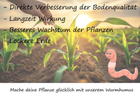 Bild 2 von 4