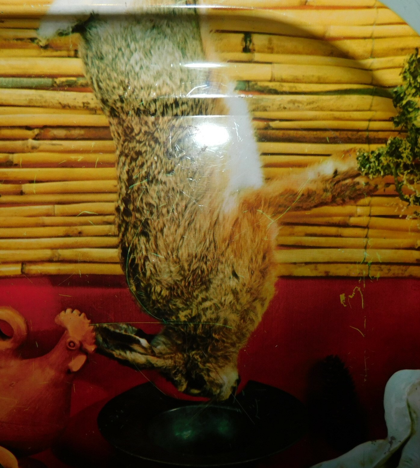 Picture 3 of 7