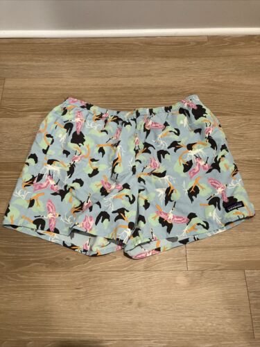 Patagonia Baggies Shorts Mens XL Colorful Bird Print Lined Casual Travel Beach