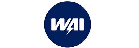 H1001 ALTERNATOR REGULATOR WAI NEW OE REPLACEMENT - Picture 4 of 6
