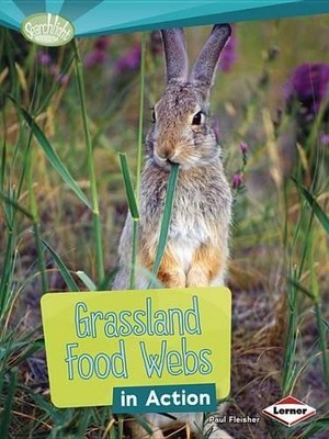 Paul Fleisher Grassland Food Webs in Action (Taschenbuch)