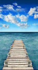 Beach Pier Cotton Quilt fabric Timeless Treasures C1868 Panel Ocean