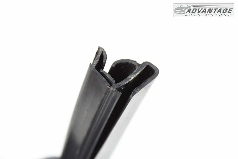 Dodge Ram 1500 2013-2018 puerta delantera izquierda ventana canal sello resistente a la intemperie OEM Foto 3 de 4