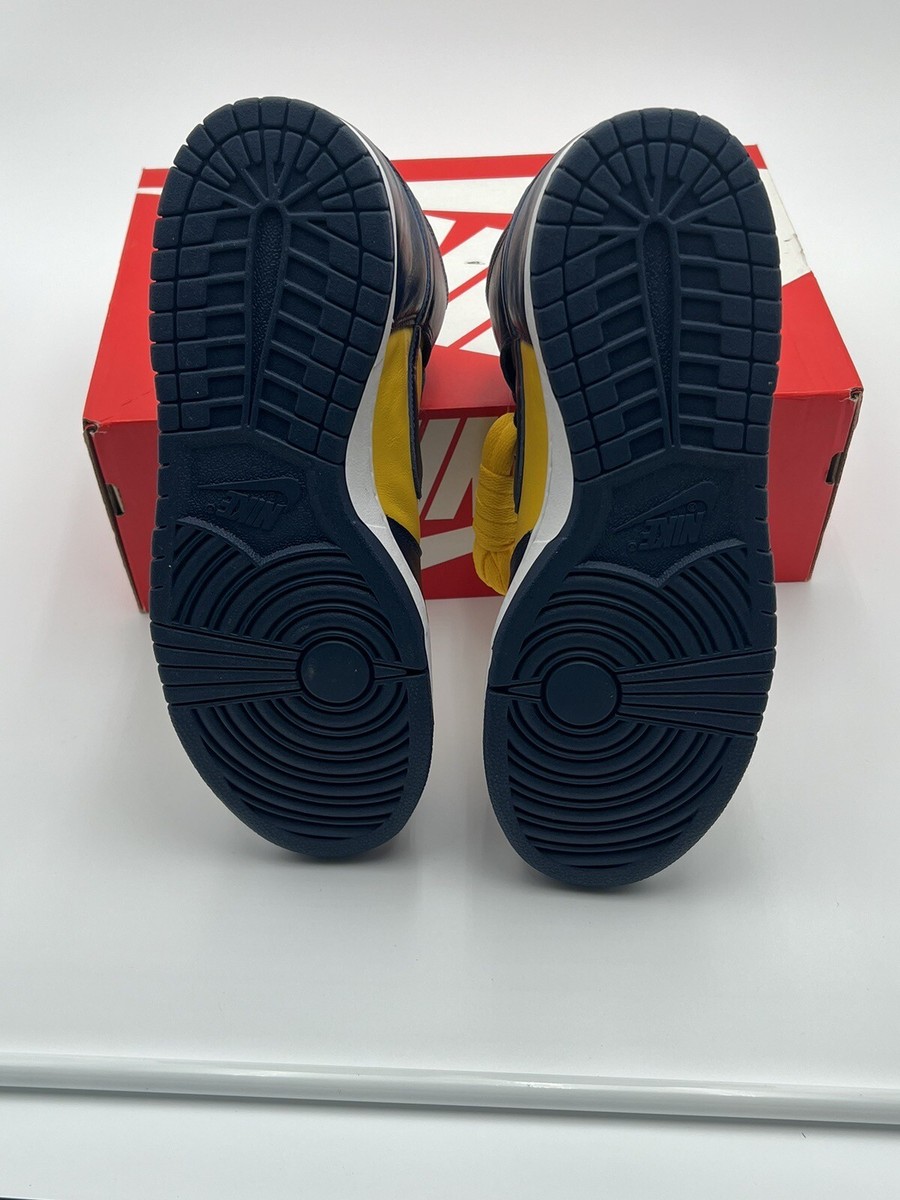 Nike Dunk High SP Retro Michigan 2020 Size 11 | eBay